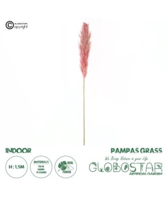 GloboStar® Artificial Garden PAMPAS GRASS 21218 Αποξηραμένο Διακοσμητικό Γρασίδι Πάμπας Μ10 x Π10 x Υ150cm